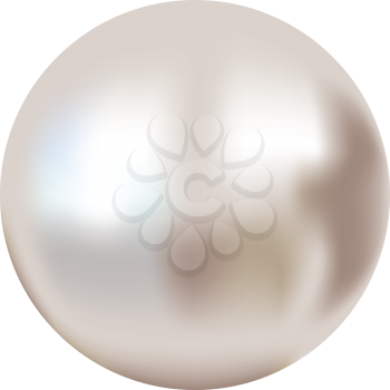 Luxury elegant white pearl isolated on the white background.
