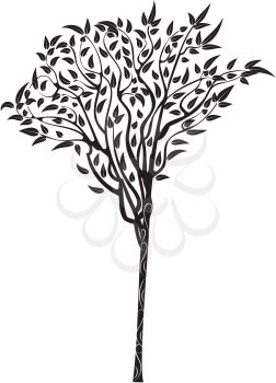 Stylized eucalyptus tree, abstract tree design with leafage.