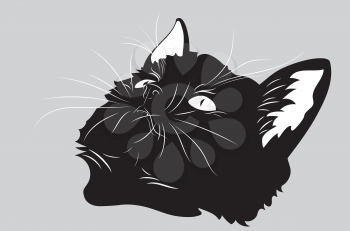 Portrait of cute black kitten looking up illustration.