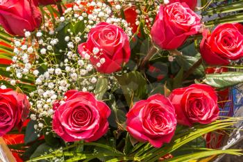 Festive bouquet of bright pink roses, floral background.