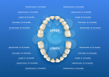 Children mouth with tooth numbering chart on blue background