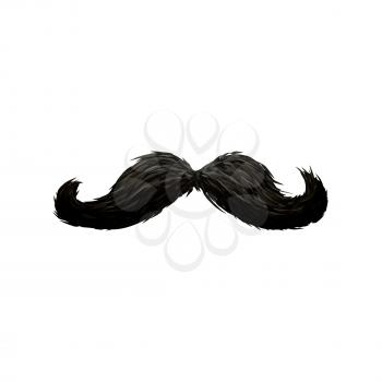 Detailed vintage black victorian mustache isolated on white