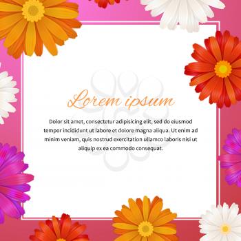 Health and beauty template with colorful gerbera flowers and text space, square illustration