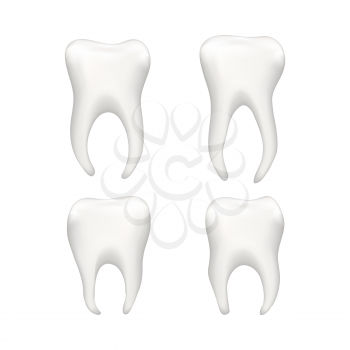 Set of bright realistic human teeths on white