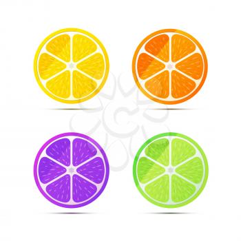 Set of glossy fruit slices isolated on white