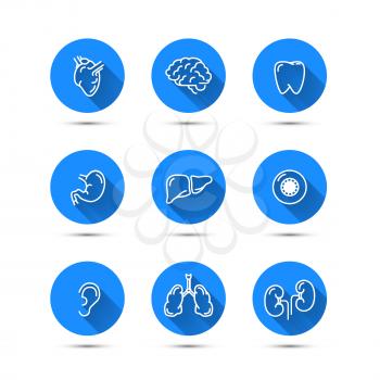 Set of white outline icons of humans organs on blue background with long shadow, isolated on white