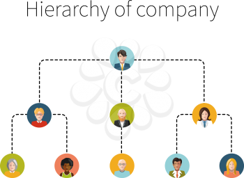 Hierarchy of company flat illustration isolated on white