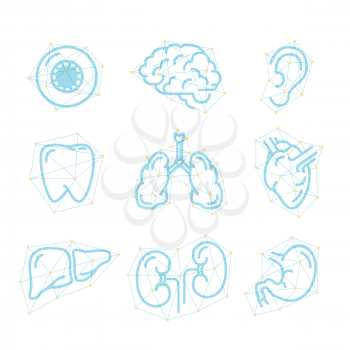 Set of futuristic outline icons of human organs isolated on white