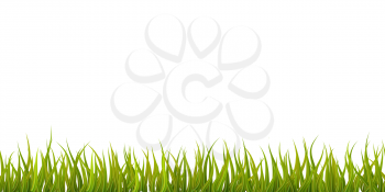 Bright detailed green grass, seamless border isolated on white