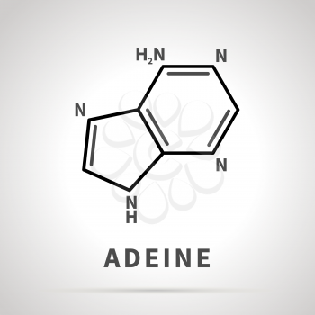Chemical structure of Adeine, one of the four main nucleobases, simple icon