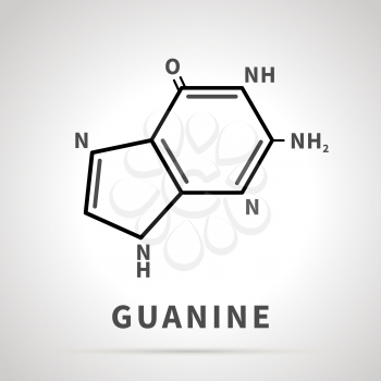 Chemical structure of Guanine, one of the four main nucleobases, simple black icon