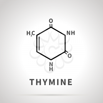 Chemical structure of Thymine, one of the four main nucleobases, simple icon