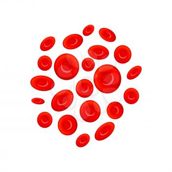 Group of different erythrocytes, red blood cells isolated on white