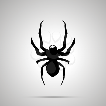 Insect icon, simple black silhouette on gray