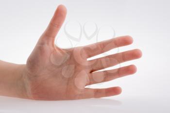 Human hand pointing on a white background