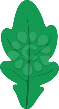 Oak leaf icon Illustration color fill simple style