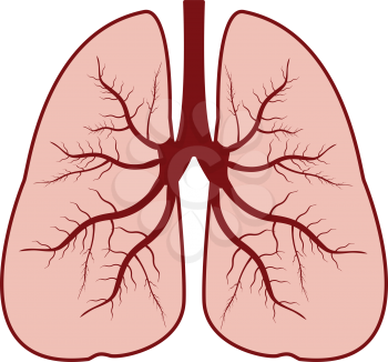 Lungs  it is icon . Flat style .