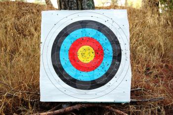 Colorful shooting target on a tree. Abstract sports background.