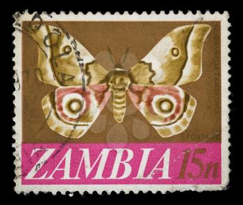 Vintage republic of Zambia postage stamp with butterfly illustration.