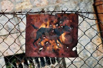 Rusty beware of the dog sign and chain link fence background.