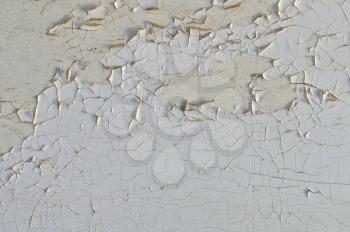 Peeling paint grungy white wall texture. Abstract background.