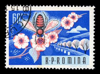 ROMANIA - CIRCA 1963. Vintage postage stamp printed by the Romanian Post shows honey bee on almond tree blossom illustration, circa 1963.