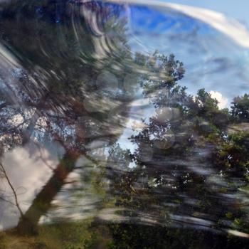 Forest landscape through painted glass. Distorted trees reflection abstract.