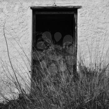 Broken door of abandoned house and overgrown plants. Black and white.