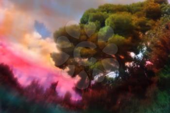 Trees and cloudy sky abstract blurry forest landscape through painted glass.