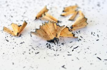 Pencil shavings on white background. Abstract macro selective focus.