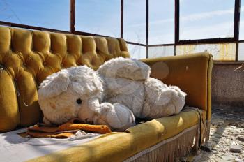 Vintage teddy bear and couch in abandoned building. Social issues.