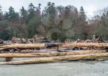A view of driftwood logs along the shore at Saltwater State Park in Washington State.