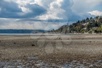 An extreme low tide reveals the seabed in Normandy Park, Washington. Three Tree Point can be seen to the north.