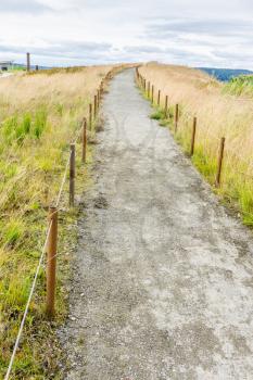A dirt path leads up a small hill at Dune Peninsula Park in Tacoma, Washington.