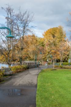 A view of autumn leaves at Coulone Park in Renton, Wasington.