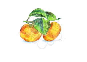 Two tangerine with leaves on a branch, drawn with colored pencils. To print on napkins, cushions, bags, printing on T-shirts, covers smartphones, soaps, cosmetics packaging