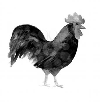 Rooster symbol 2017. White and black, monochrome Watercolor illustration. Fashionable print on t-shirts, bags, cases for smartphones, textiles, fashion design