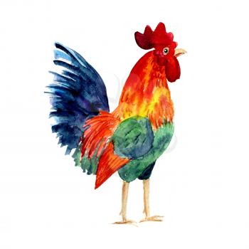 Rooster symbol 2017. Bright Watercolor illustration. Fashionable print on t-shirts, bags, cases for smartphones, textiles, fashion design