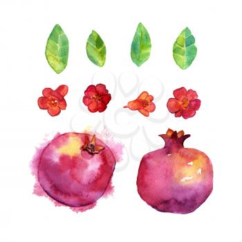 Set of watercolor pomegranates, leaves, flowers Isolated objects