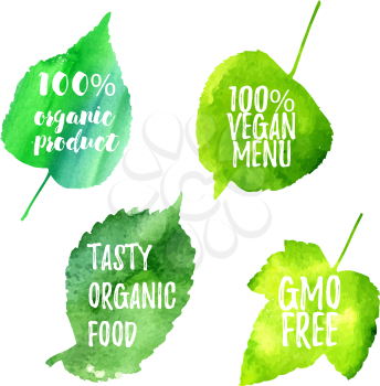 Green leaves with words raw, eco, bio gmo. Badges, stickers for vegetarian menu cafes, restaurants, packaging for ecological and organic products, soaps.