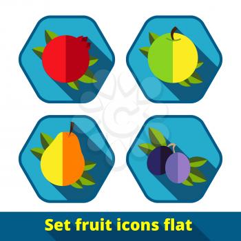 Set of vector fruit style icons flat. Granat, apple, pear, plum.