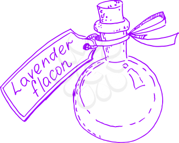 A bottle of lavender oil and a label. Sketch, Doodle