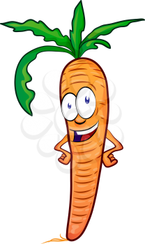 carrot mascot cartoon isolated on white background