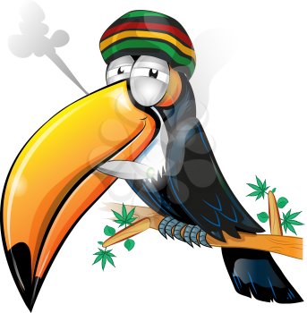 jamaican toucan cartoon isolated on white