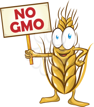 wheat cartoon with signboard no gmo isolated on white  background