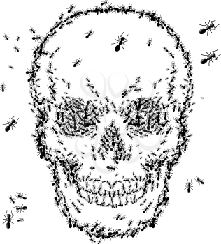 skull sketch design with ant  isolate on white