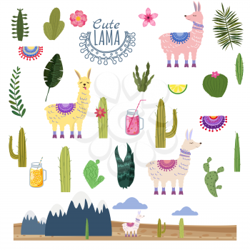 Set Lama Alpaca cacti drinks and decorative. Collection of elements for decoration