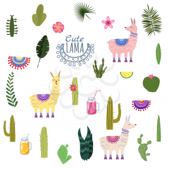 Set Lama Alpaca cacti drinks and decorative. Collection of elements for decoration