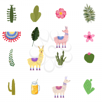 Set Lama Alpaca cacti drinks and decorative. Collection funny elements for decoration