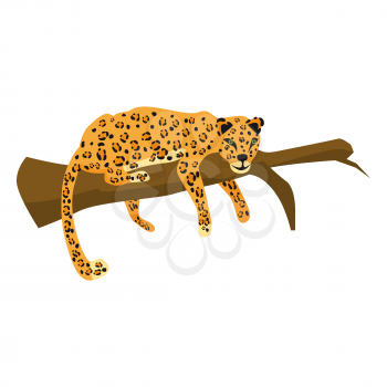 Leopard jumping cute trend style, animal predator mammal, jungle